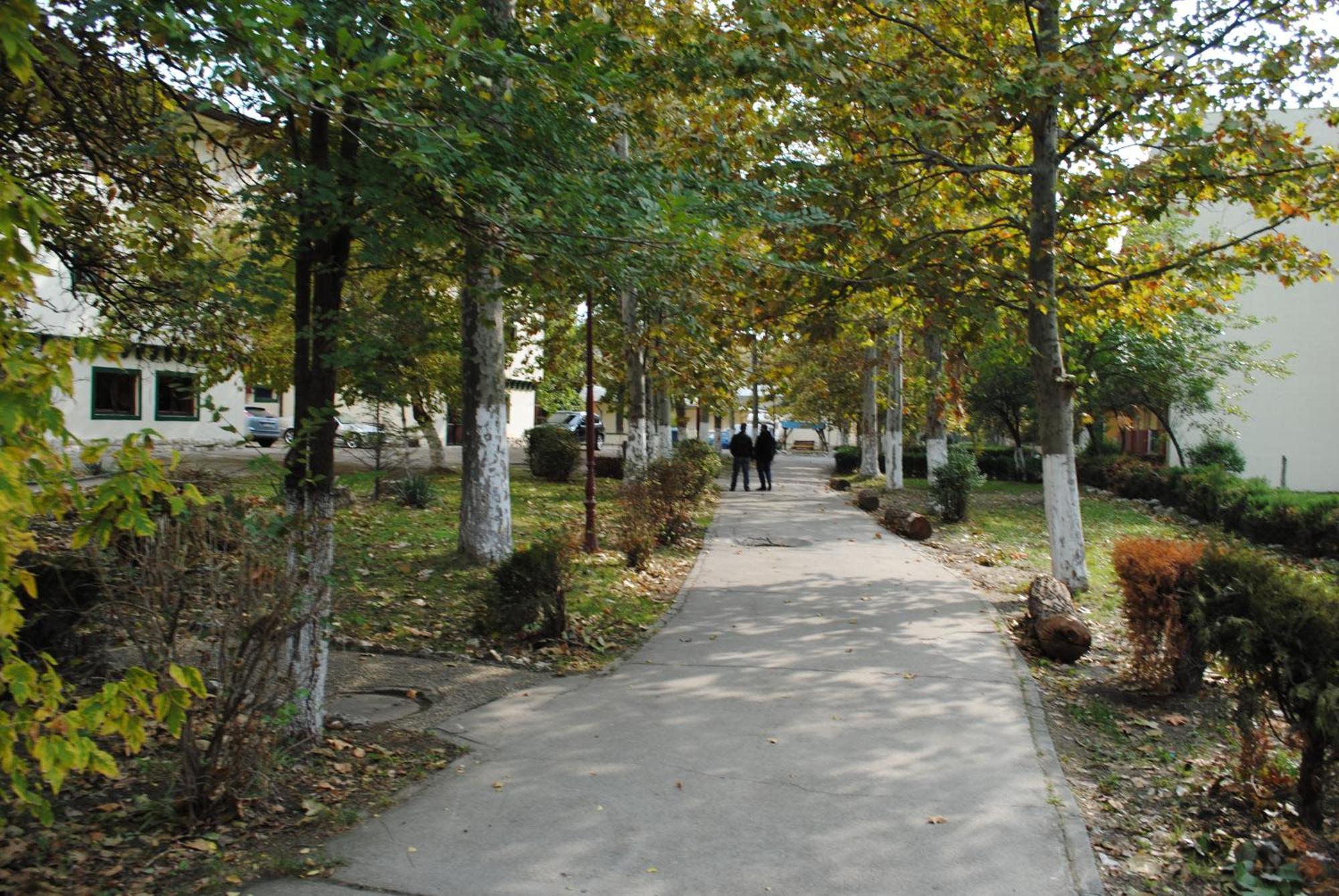 Complex Mediteranean Mamaia Exterior photo